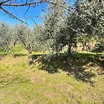 Casa de Férias Casa Pozzi *